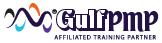 GulfPMP Logo