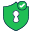 Secure data protection icon